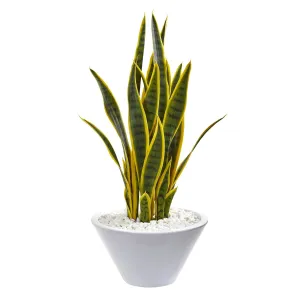 2’ Sansevieria Artificial Plant in White Bowl